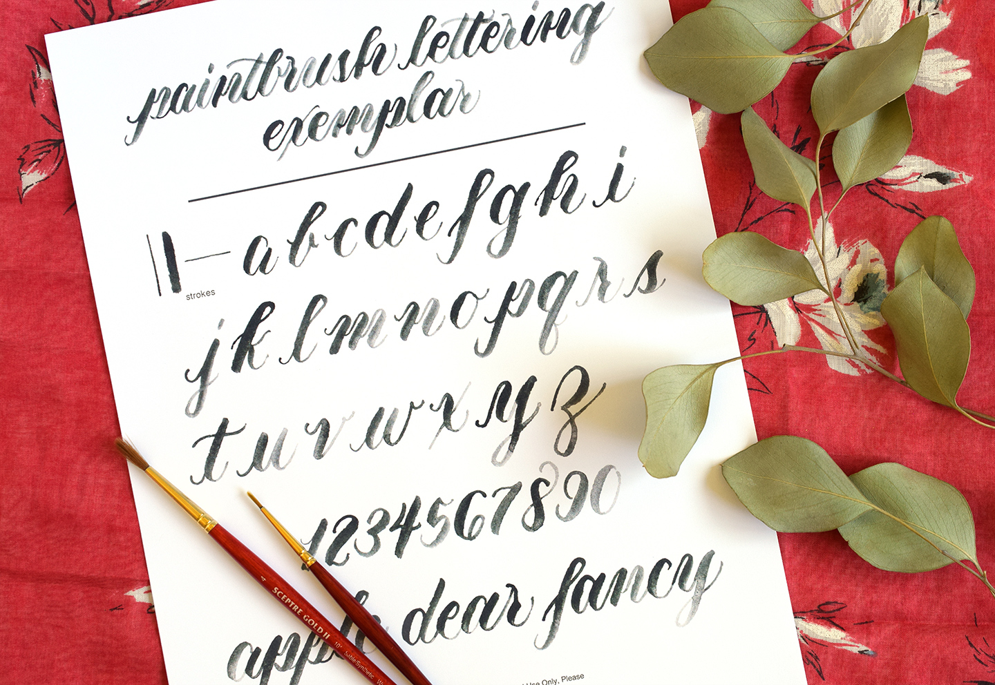 How to Create Paintbrush Lettering + A Free Exemplar | The Postman's Knock