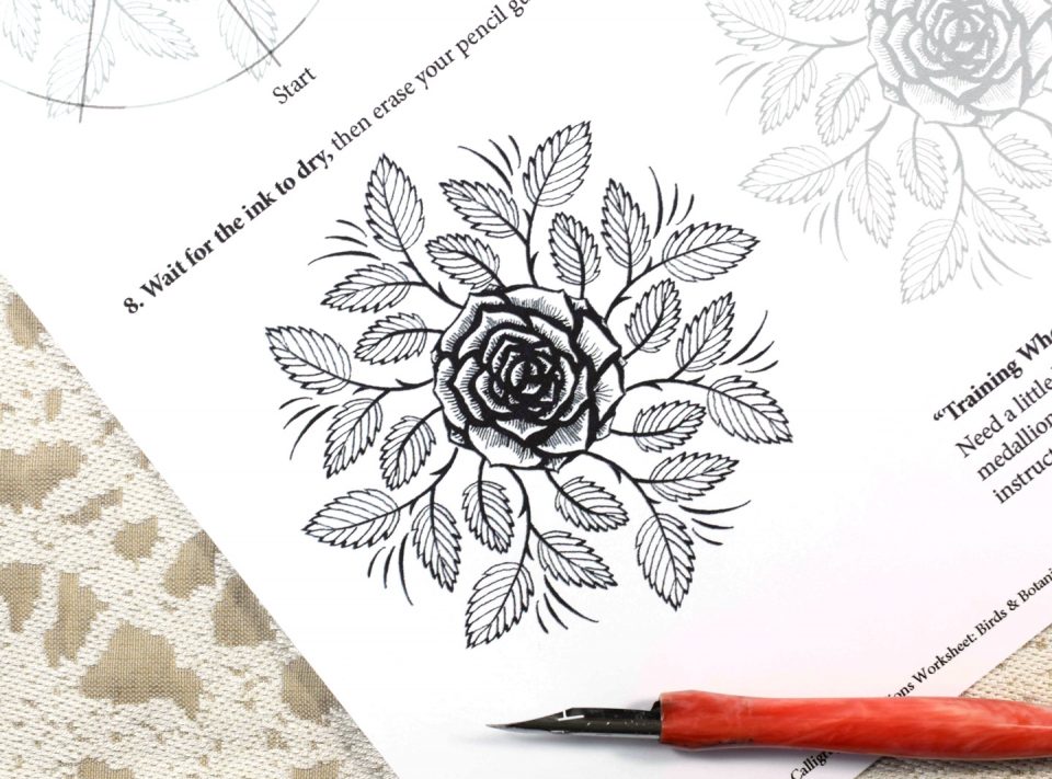 Introducing the Calligraphy Medallions Worksheet: Birds & Botanicals Edition | The Postman's Knock