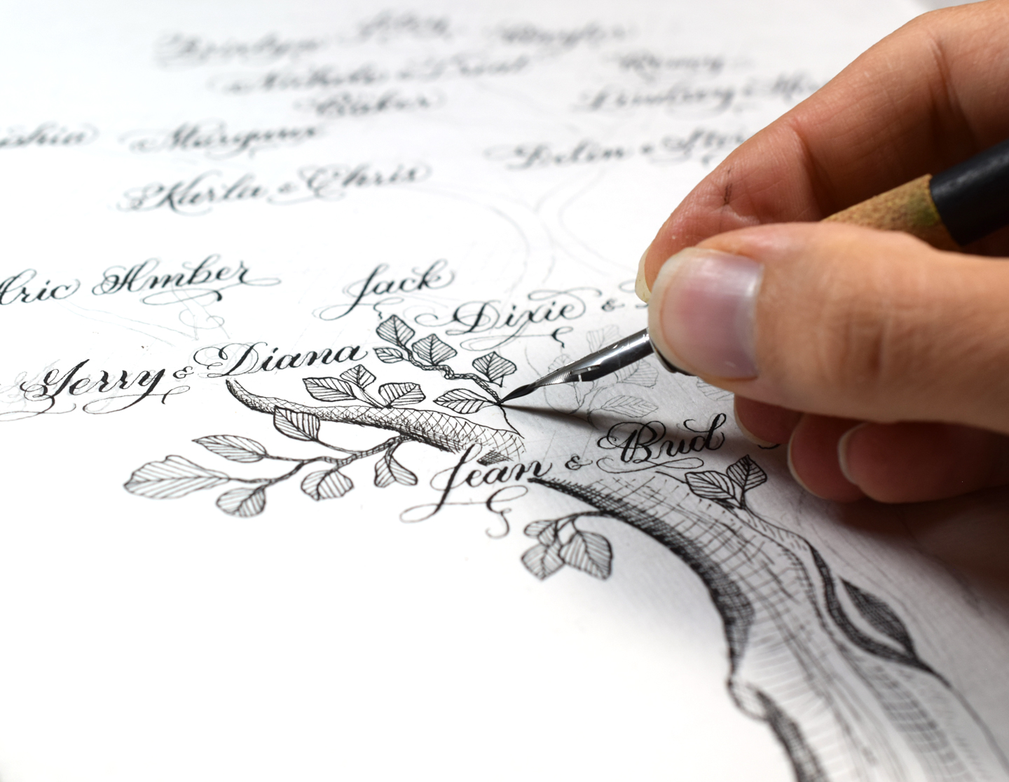 Adding Leaves to the Calligraphy Family Tree 