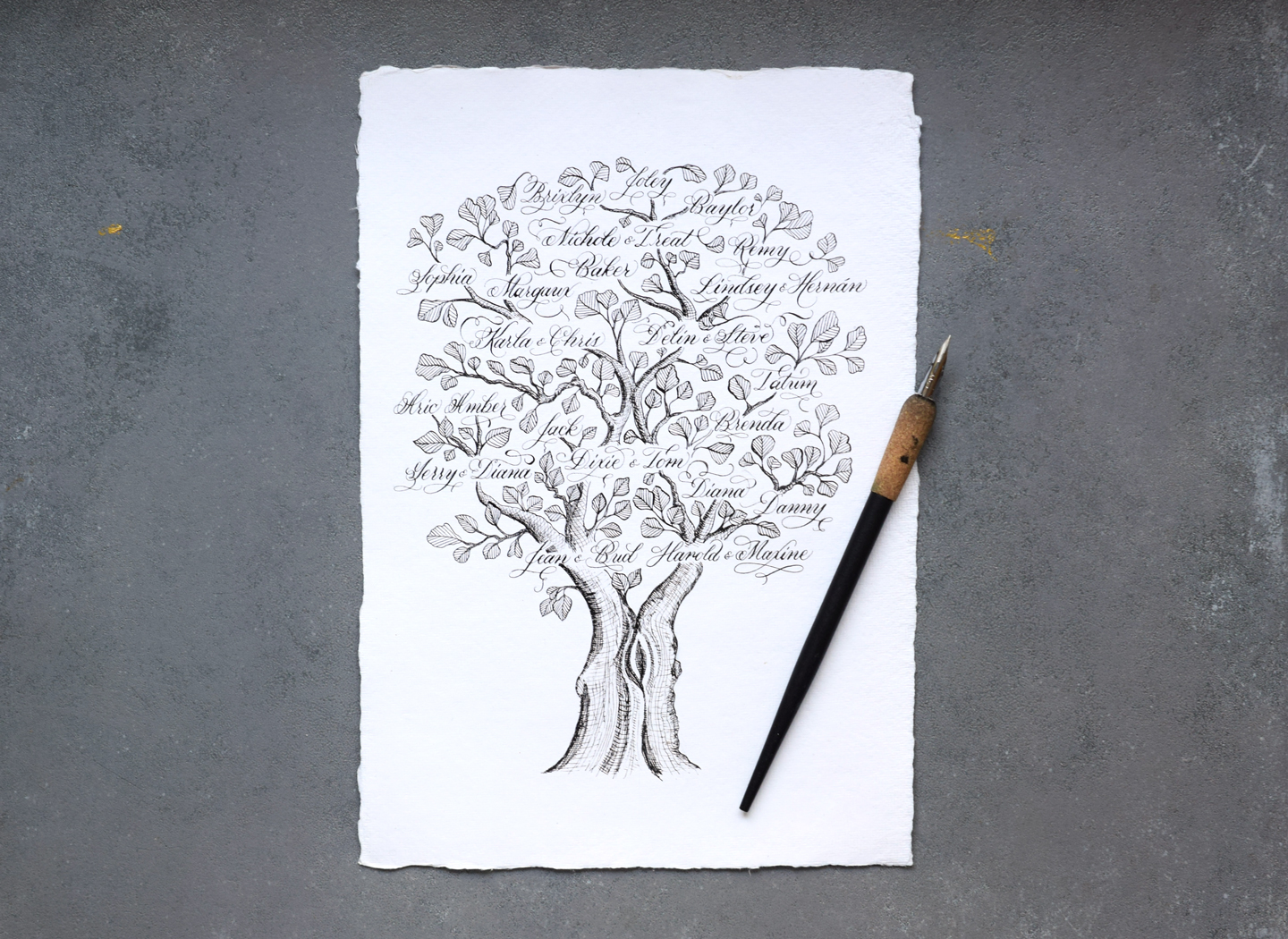 How to Make a Gorgeous Calligraphy Family Tree