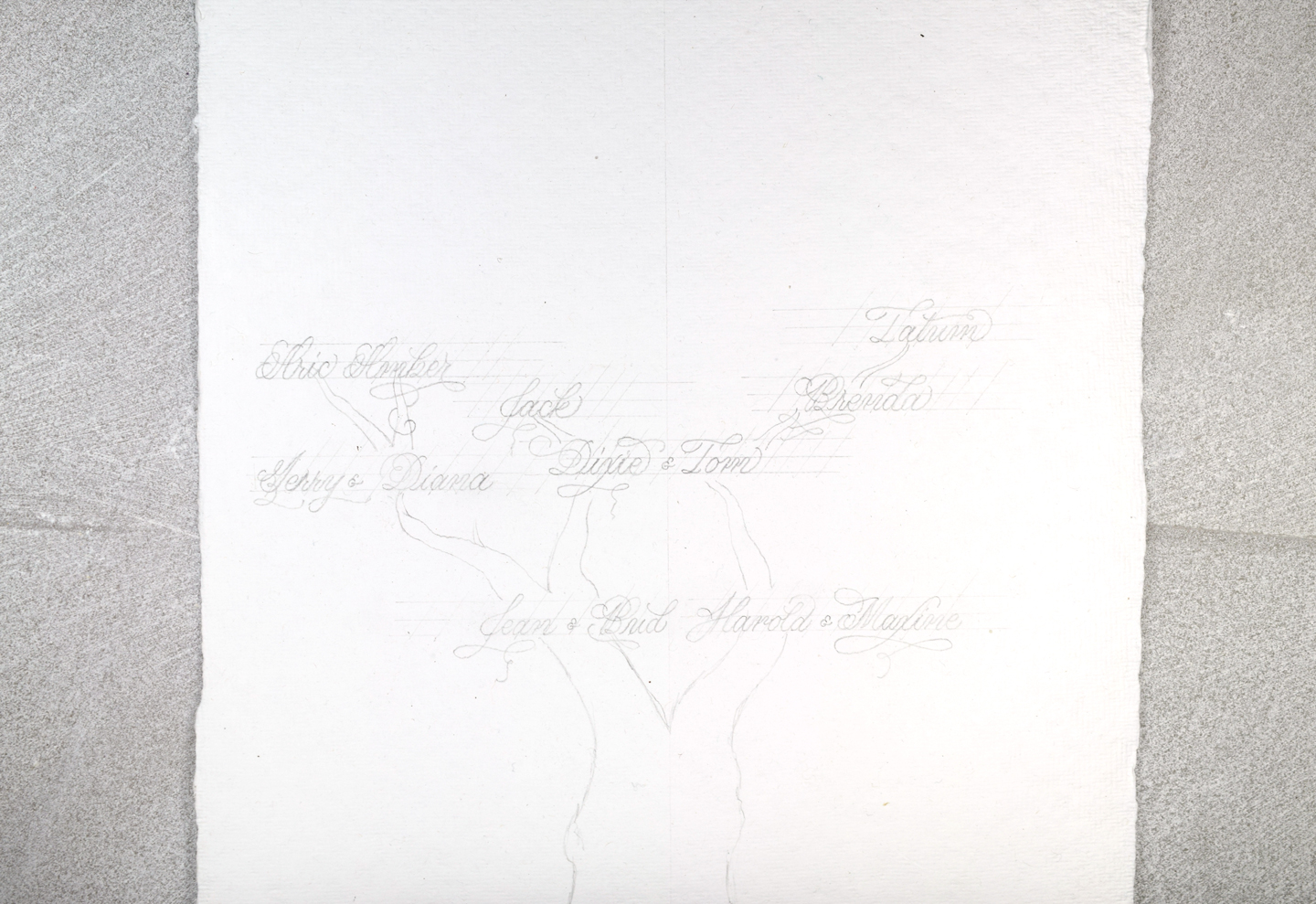 Calligraphy Family Tree Draft