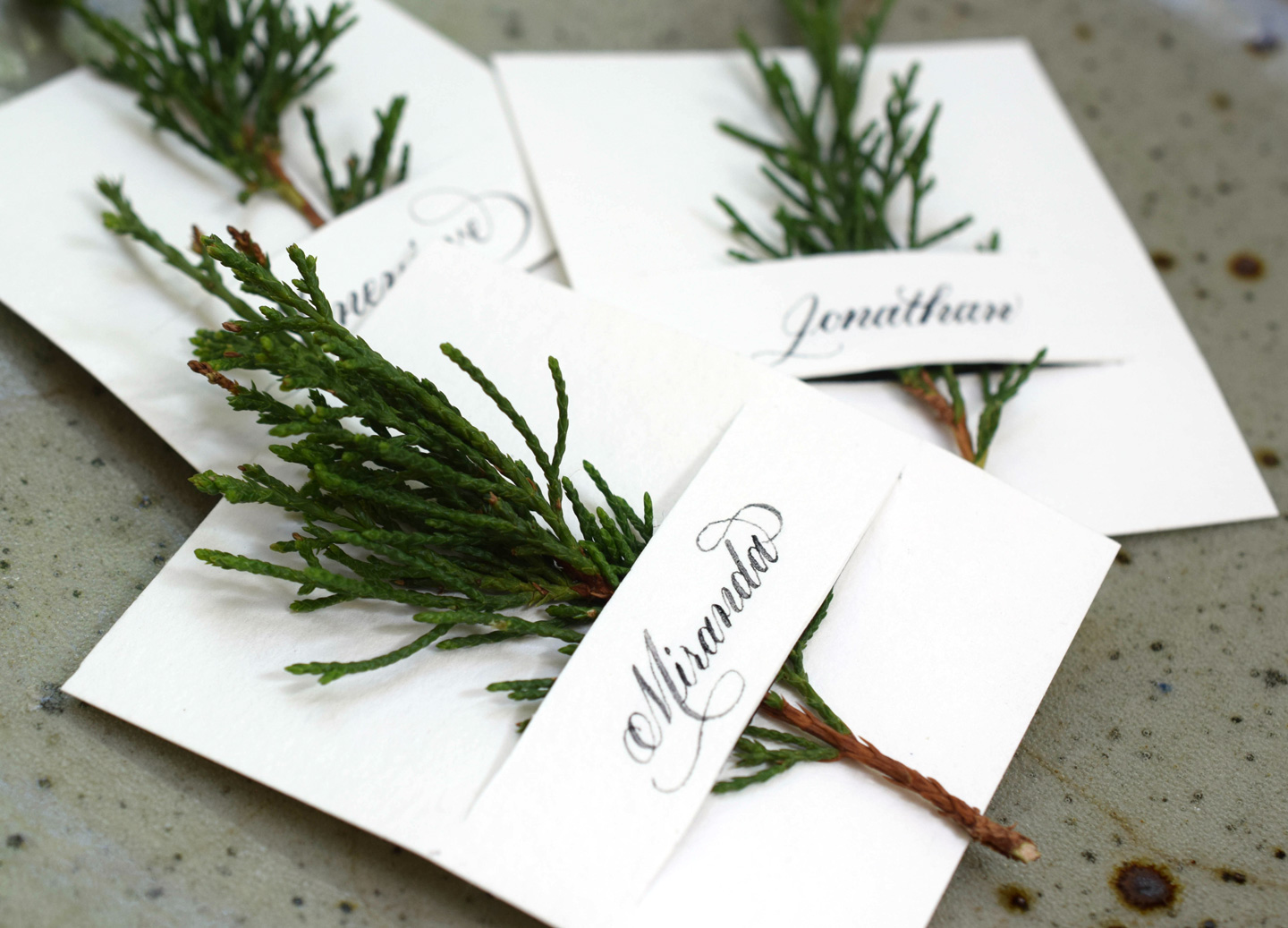 Fresh (and Easy) Botanical Place Card Tutorial