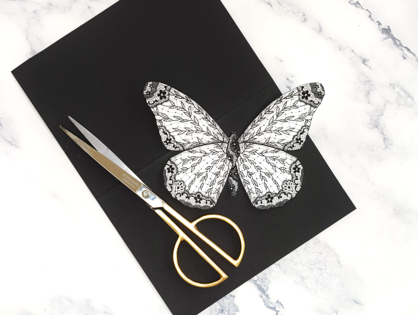 Cut-Out Butterfly and Black Cardstock